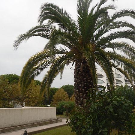 Vittoria Immobilier 9 -Reglement Sur Place - Cheques Vacances Acceptes ラ・グランド・モット エクステリア 写真